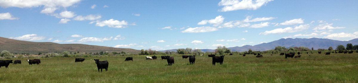 Grass Fed Beef Truckee